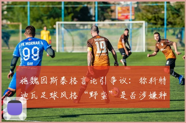 施魏因斯泰格言论引争议：称科特迪瓦足球风格“野蛮”是否涉嫌种族歧视？深入探讨