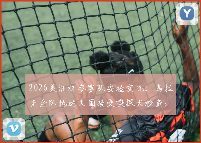2026美洲杯参赛队安检实况：乌拉圭全队抵达美国接受嗅探犬检查，球员直言流程繁琐